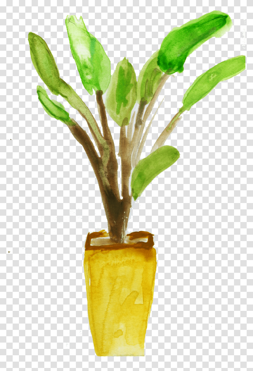 Sustain Your Style Houseplant, Tree, Palm Tree, Arecaceae, Leaf Transparent Png