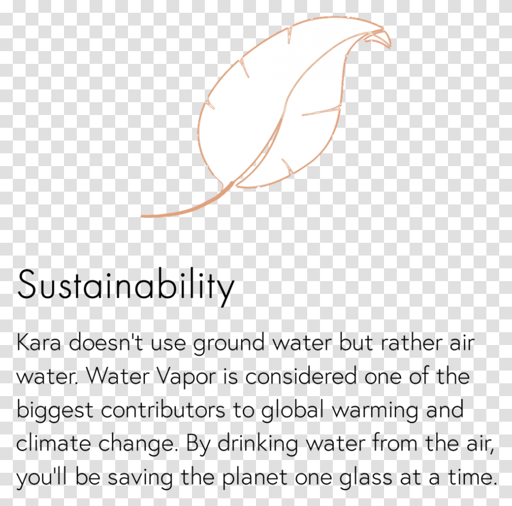 Sustainability Blurb, Leaf, Plant, Silhouette, Outdoors Transparent Png