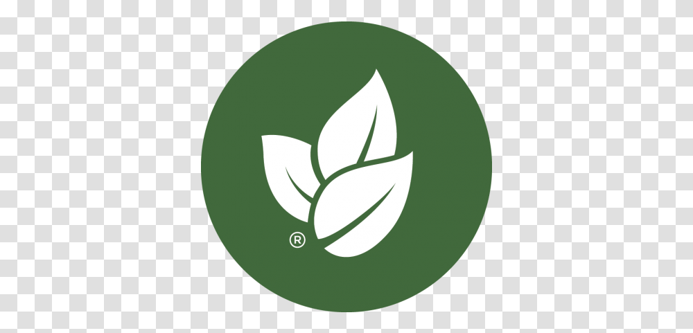 Sustainability Glenroy Inc Vertical, Logo, Symbol, Plant, Text Transparent Png