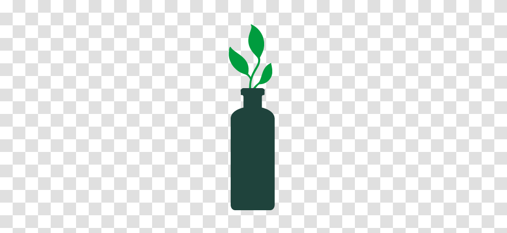 Sustainability Herbal Essences, Plant, Bottle, Jar, Vase Transparent Png
