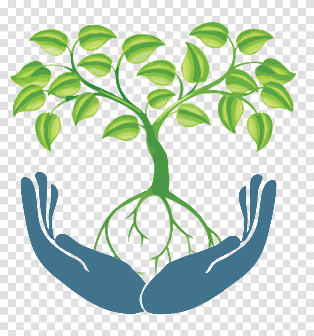 Sustainability Made Simple Skin Care, Plant, Root, Painting Transparent Png