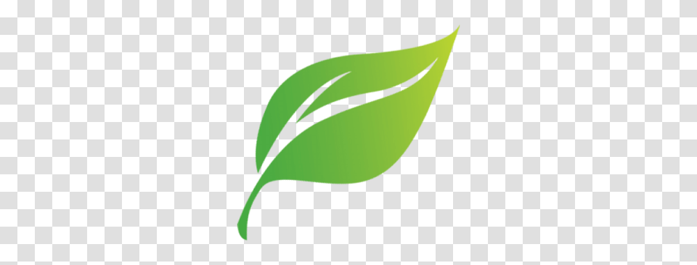 Sustainability Standards Across Our Business, Tennis Ball, Green, Plant, Leaf Transparent Png