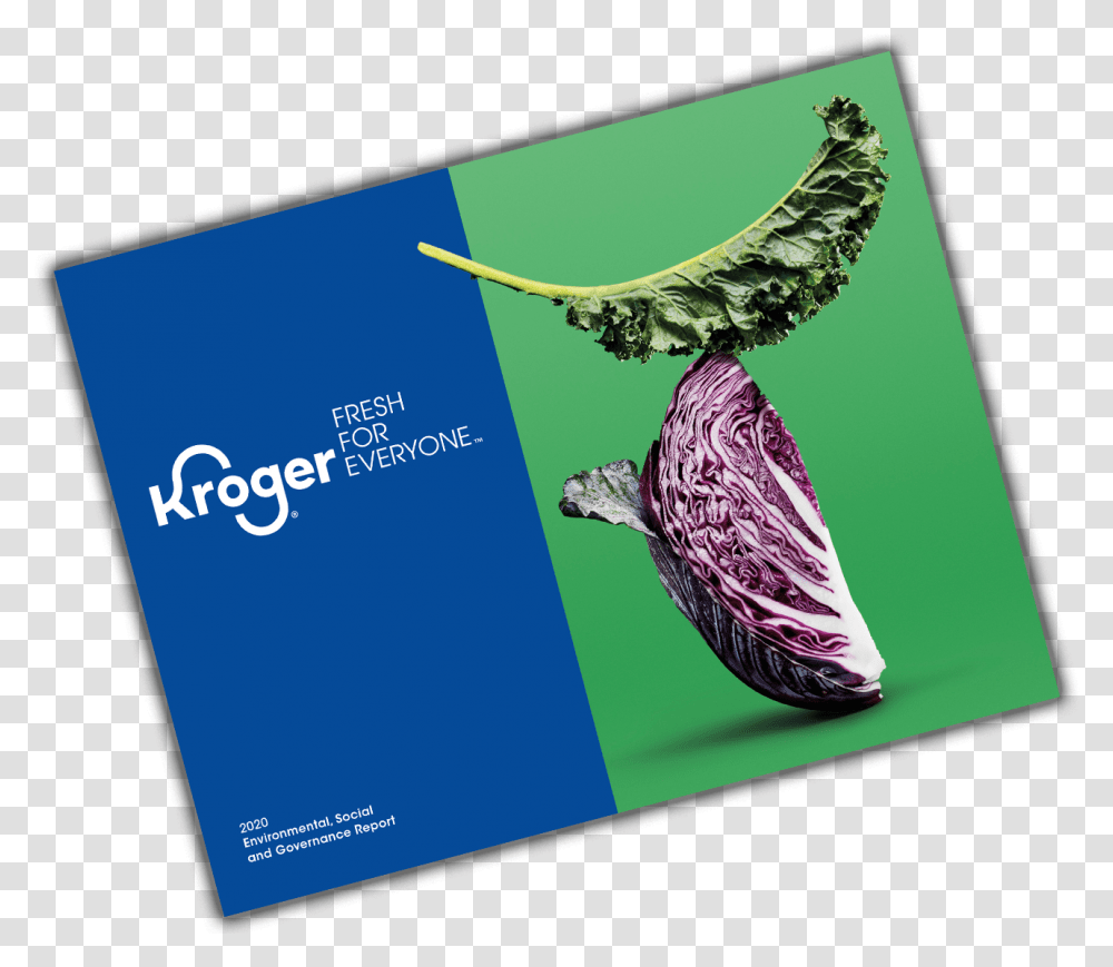 Sustainability The Kroger Co, Plant, Bird, Animal, Vegetable Transparent Png