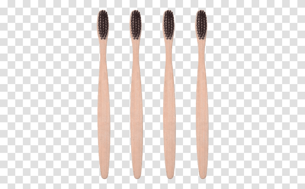 Sustainable TomorrowClass Brush, Fork, Cutlery, Plant, Tool Transparent Png
