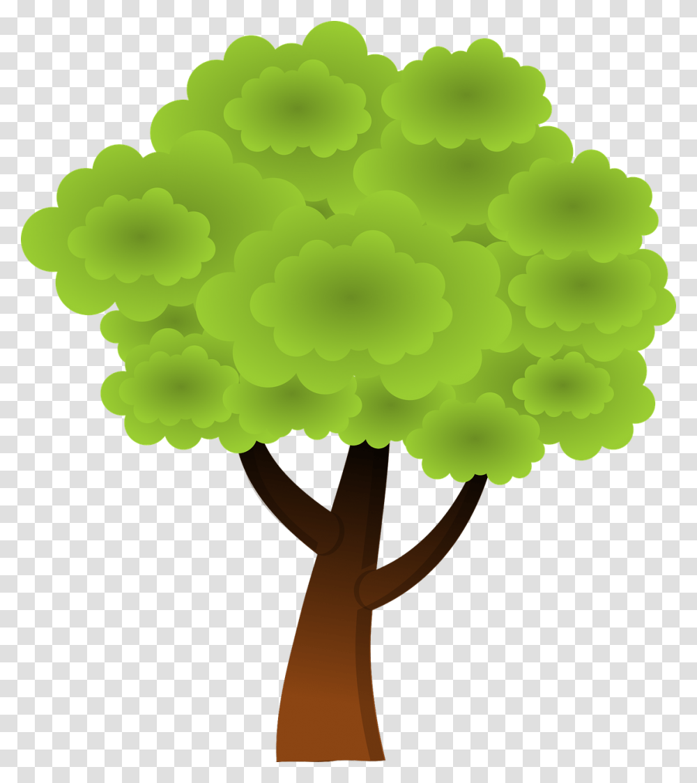 Sustainable Tree, Plant, Fungus, Cross Transparent Png