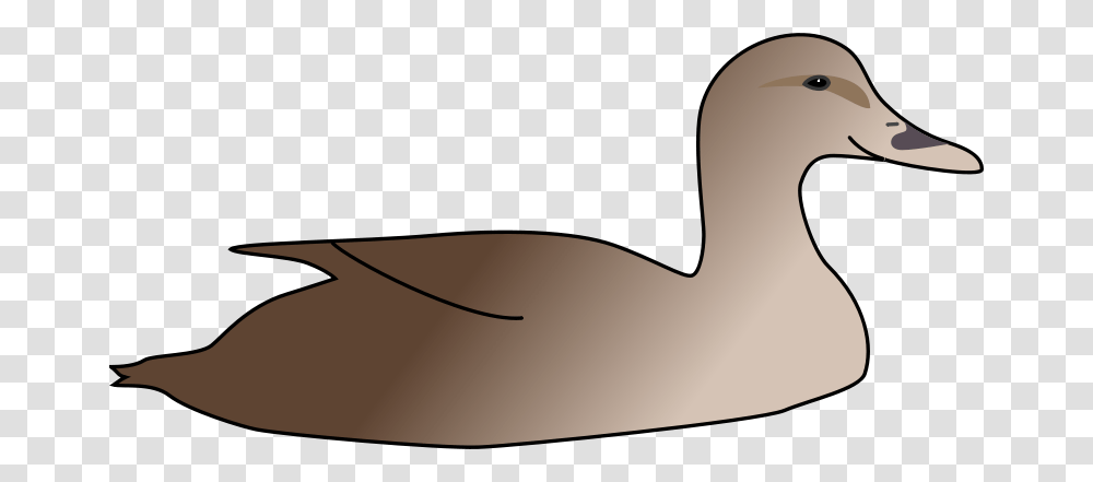 Sutrannu Duck, Animals, Bird, Axe, Beak Transparent Png