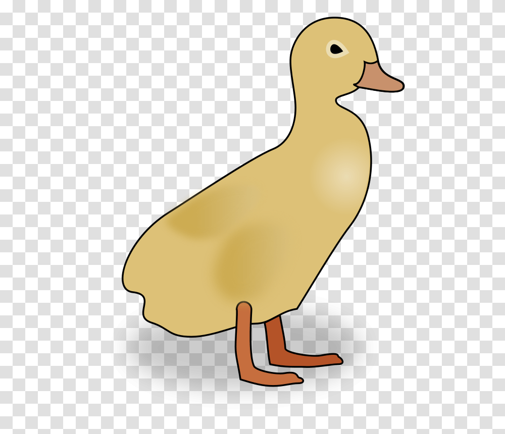 Sutrannu Duckling, Animals, Bird, Goose, Hen Transparent Png