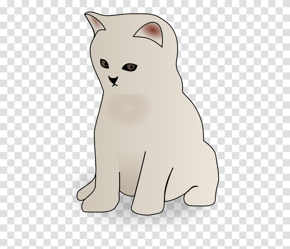 Sutrannu Kitten, Animals, Pet, Cat, Mammal Transparent Png