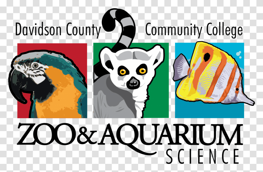 Suzy Zoo Clipart Davidson County Community College Zoology, Giant Panda, Bear, Wildlife, Mammal Transparent Png
