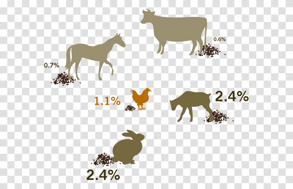 Svg Bird Poop Clipart, Mammal, Animal, Horse, Herd Transparent Png