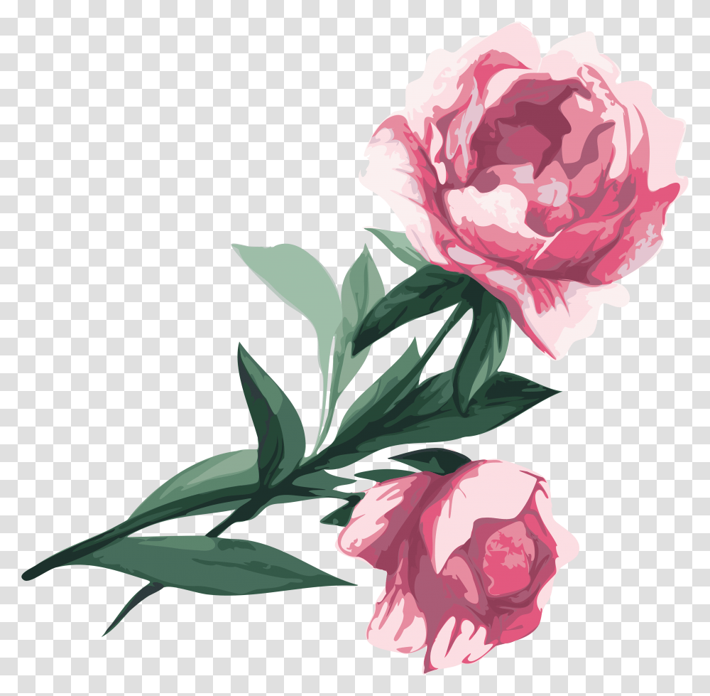 Svg Black And White Flower Garden Roses Peony Clip, Plant, Blossom, Carnation, Petal Transparent Png