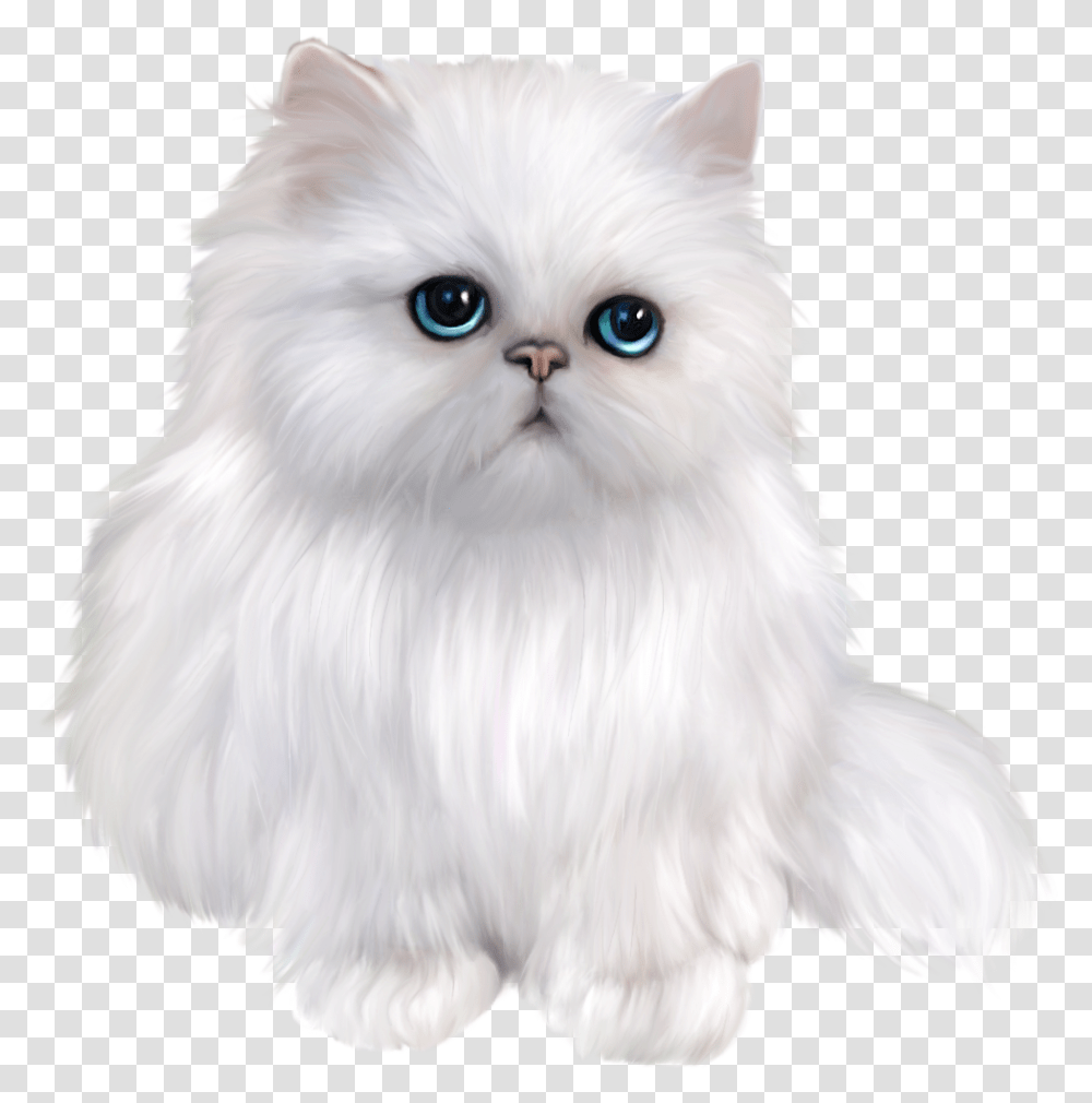 Svg Black And White Stock Kitten Persian White Persian Cat, Angora, Pet, Mammal, Animal Transparent Png