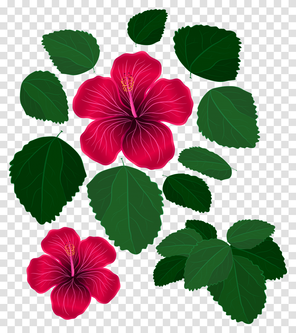 Svg Freeuse Library And Leaves For Decorations Leaves And Flowers Clipart, Plant, Petal, Blossom, Geranium Transparent Png