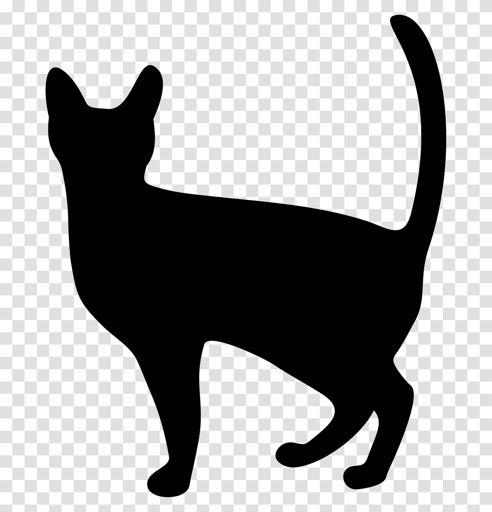 Svg Icon Free Cat Icon, Silhouette, Pet, Mammal, Animal Transparent Png