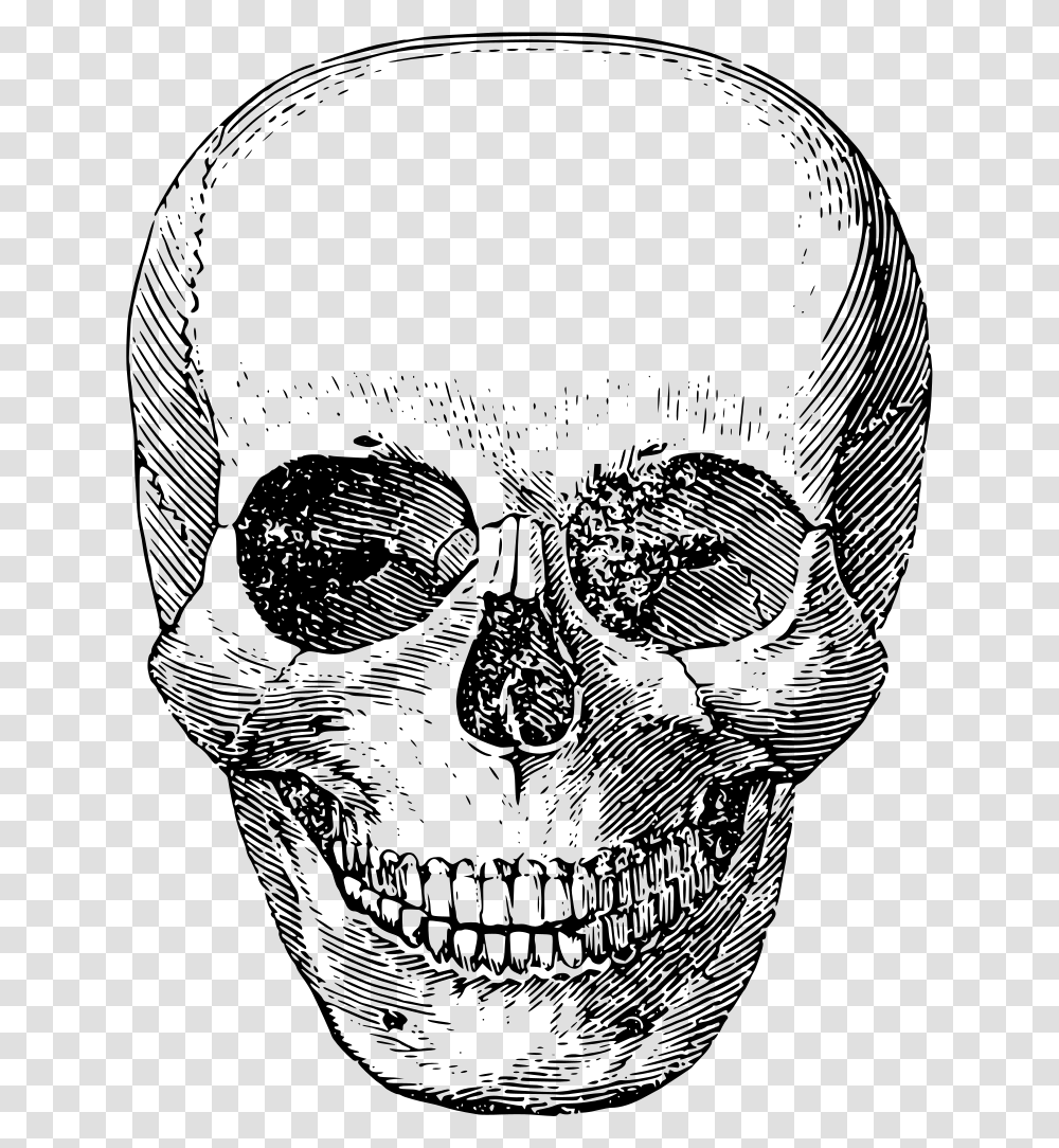 Svg Skeleton Free Image Aesthetic Skull Background, Gray, World Of Warcraft Transparent Png