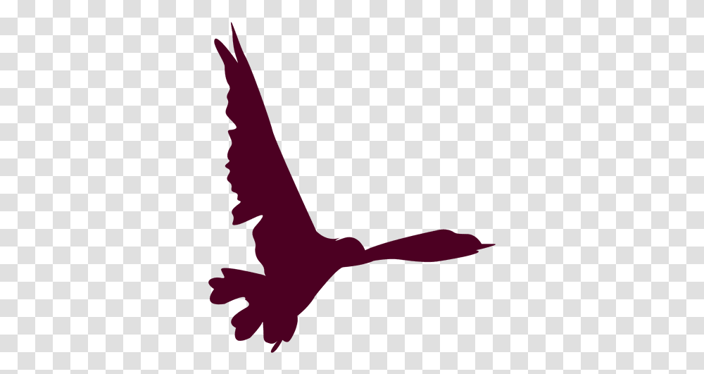 Svg Vector File Bird Flight, Animal, Gecko, Lizard, Reptile Transparent Png