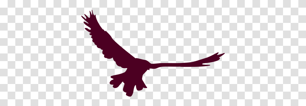 Svg Vector File Bird Flying Open Wings, Animal, Gecko, Lizard, Reptile Transparent Png