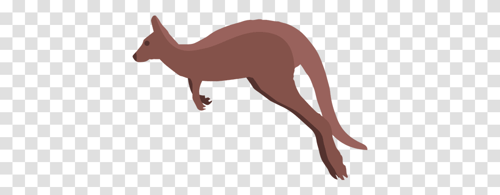 Svg Vector File Canguru, Animal, Mammal, Kangaroo, Wallaby Transparent Png