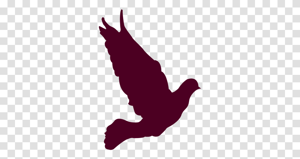 Svg Vector File Columbidae, Person, Human, Silhouette, Bird Transparent Png