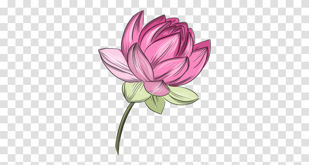 Svg Vector File Flor De Lotus Rosa, Dahlia, Flower, Plant, Blossom Transparent Png