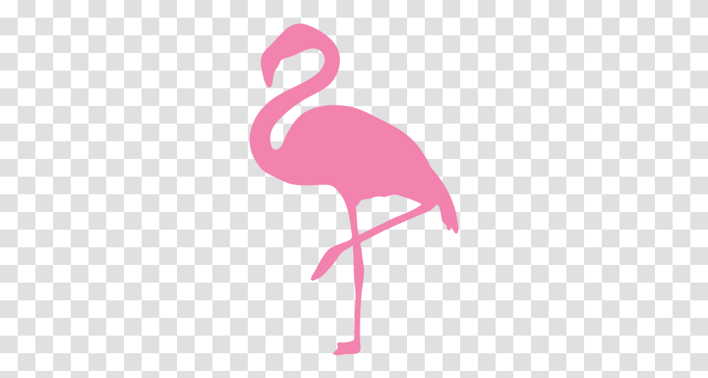 Svg Vector File Greater Flamingo, Animal, Bird, Cross, Symbol Transparent Png