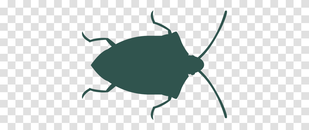 Svg Vector File Ground Beetle, Axe, Tool, Animal, Bow Transparent Png