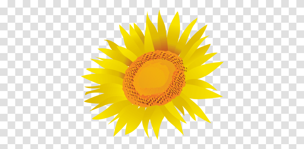 Svg Vector File Mediawiki Flower, Plant, Sunflower, Blossom Transparent Png