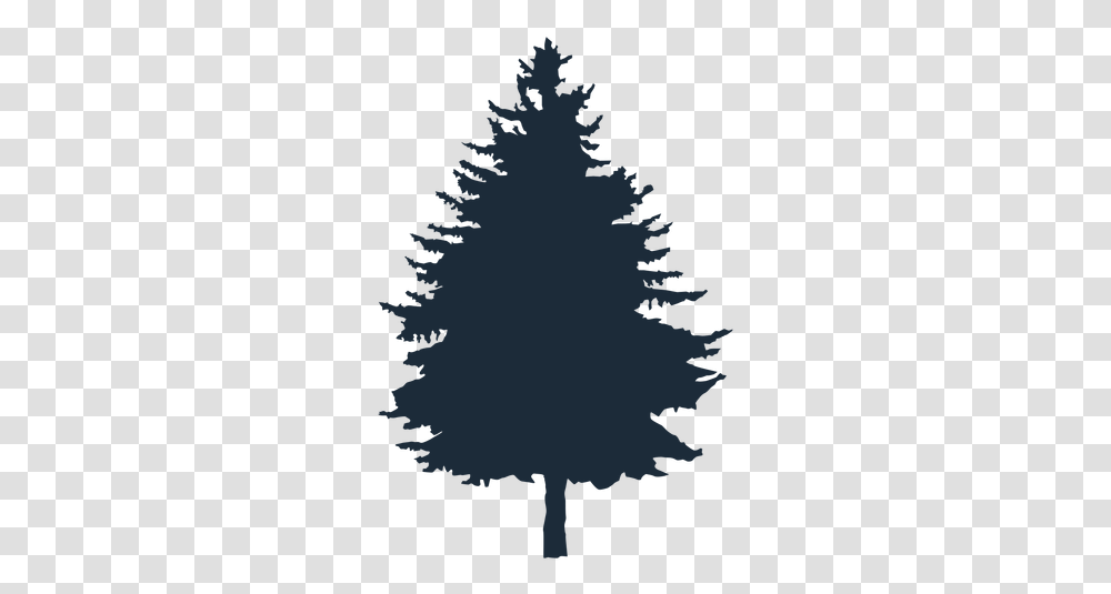 Svg Vector File Pinheiro, Tree, Plant, Fir, Abies Transparent Png