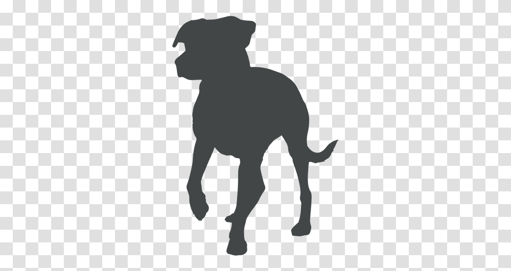 Svg Vector File Pitbull Silhouette, Mammal, Animal, Person, Human Transparent Png