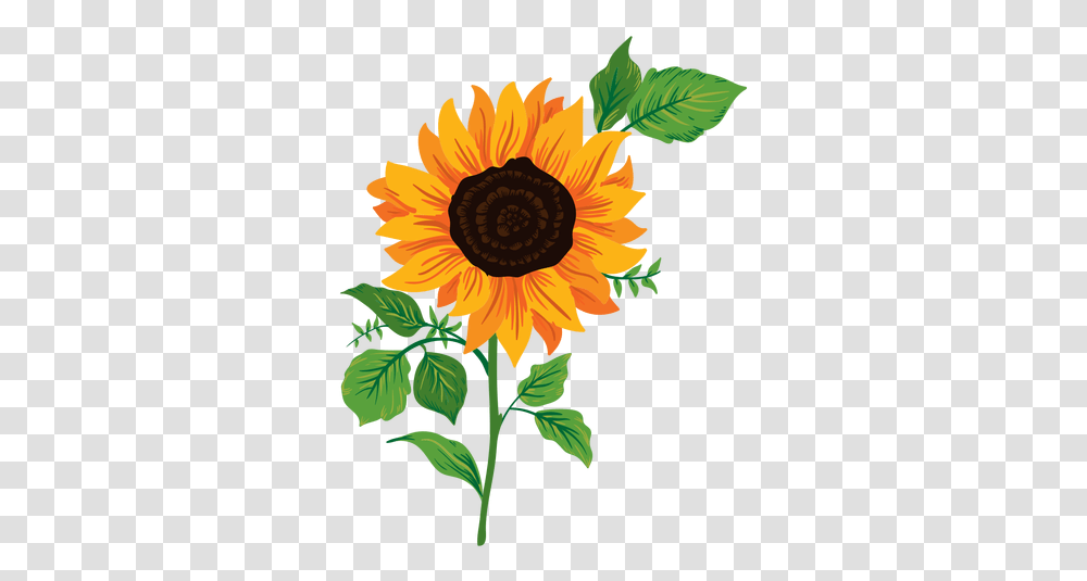 Svg Vector File Sunflower Illustration, Plant, Blossom Transparent Png