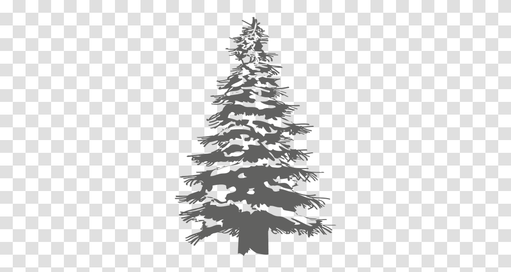 Svg Vector File White Pine Tree, Plant, Fir, Abies, Silhouette Transparent Png