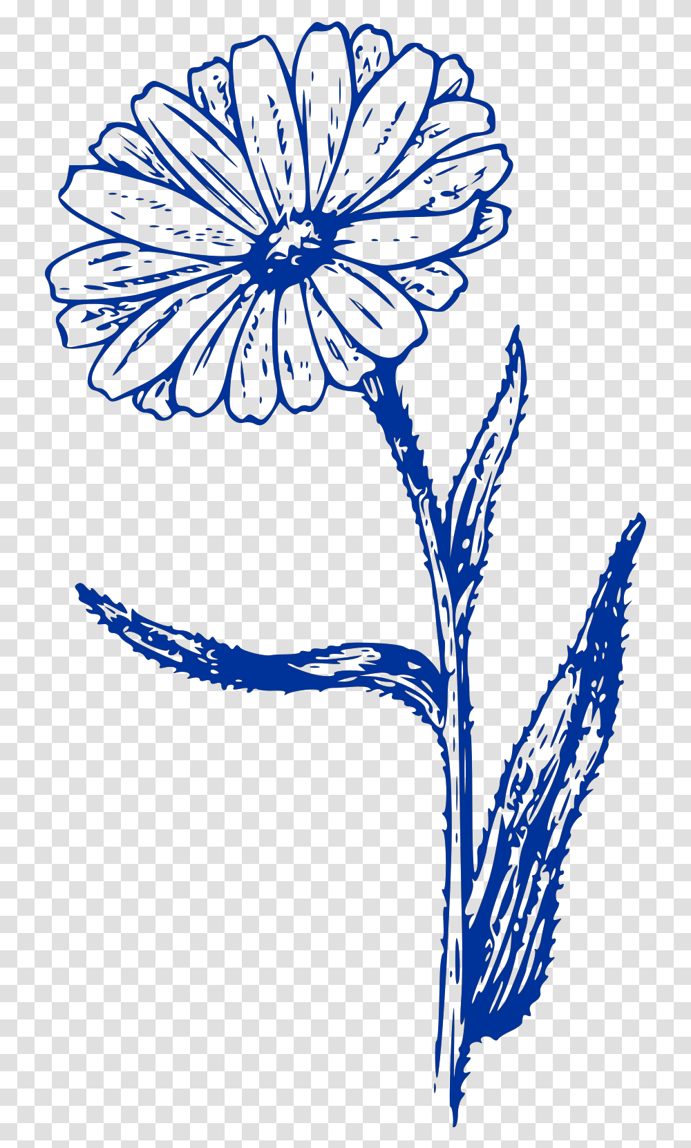 Svg Vector Flower Clip Art Calendula Blanco Y Negro, Plant, Bird, Graphics, Floral Design Transparent Png