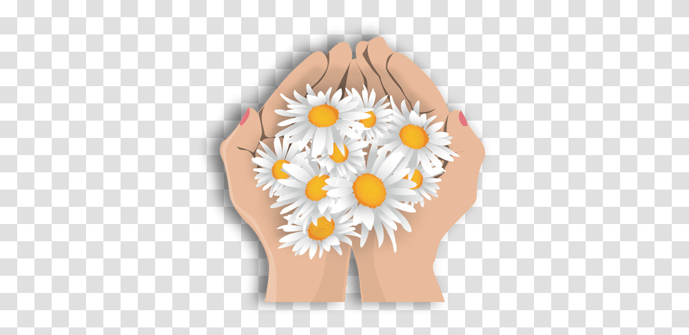 Svg Vector Flower In Hand, Plant, Daisy, Daisies, Blossom Transparent Png