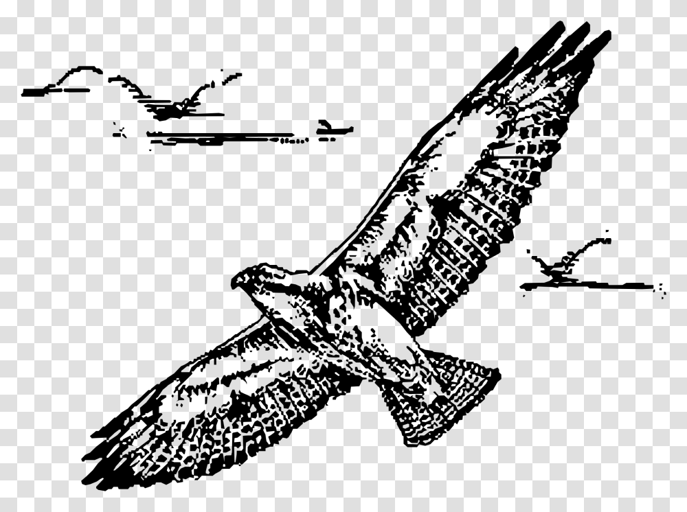 Swainsion Hawk In Flight Clip Arts, Gray, World Of Warcraft Transparent Png