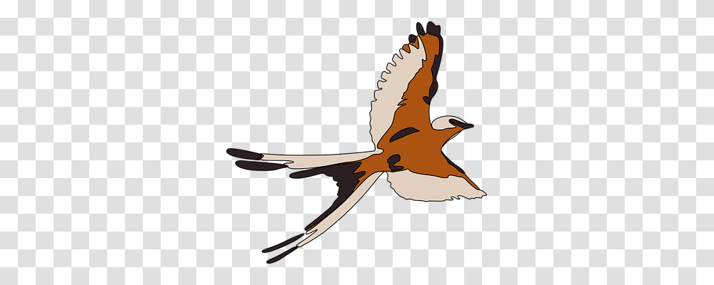 Swallow Animals, Flying, Bird, Person Transparent Png