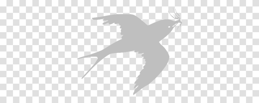 Swallow Nature, Axe, Animal, Bird Transparent Png