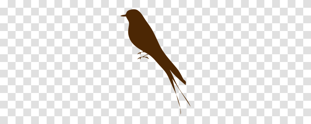 Swallow Technology, Animal, Reptile, Lizard Transparent Png