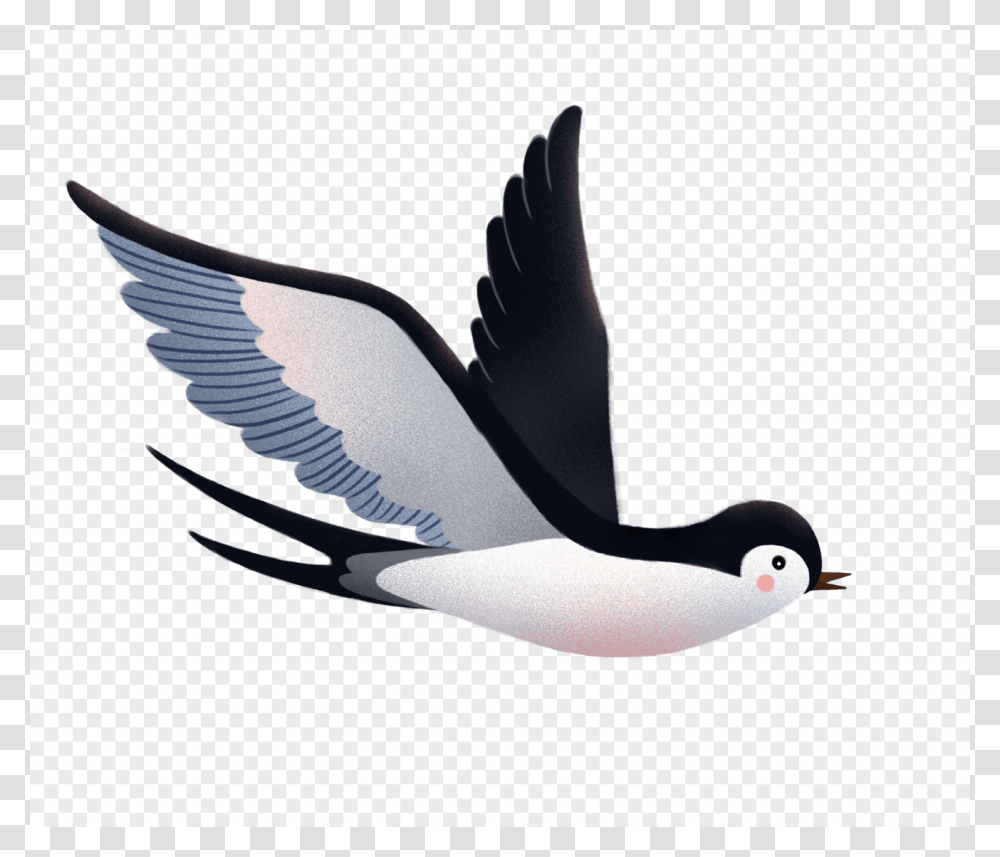 Swallow, Animals, Bird, Flying, Penguin Transparent Png