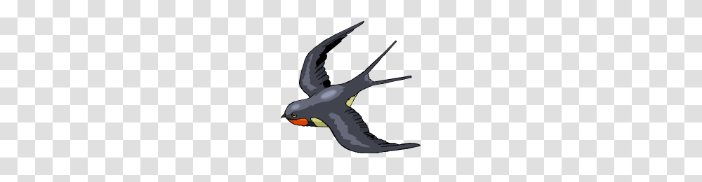 Swallow, Animals, Bird, Flying, Vulture Transparent Png