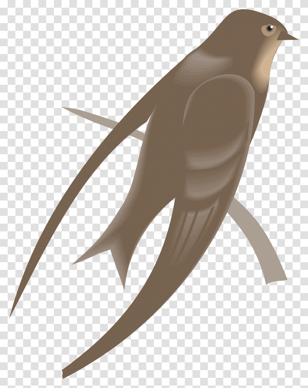 Swallow, Animals, Bird, Weapon, Penguin Transparent Png