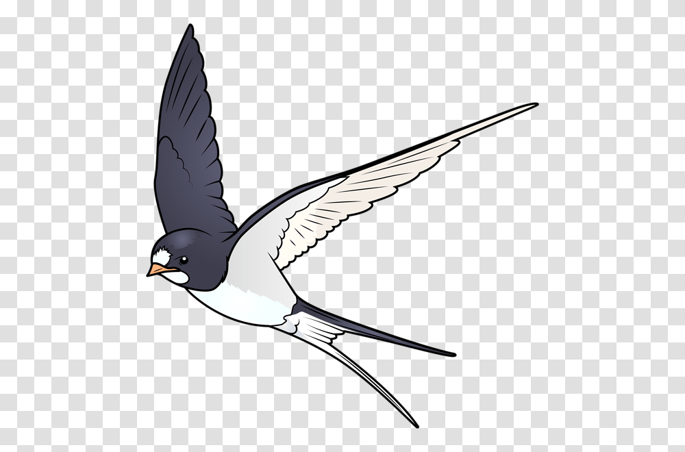 Swallow, Animals, Flying, Bird, Magpie Transparent Png