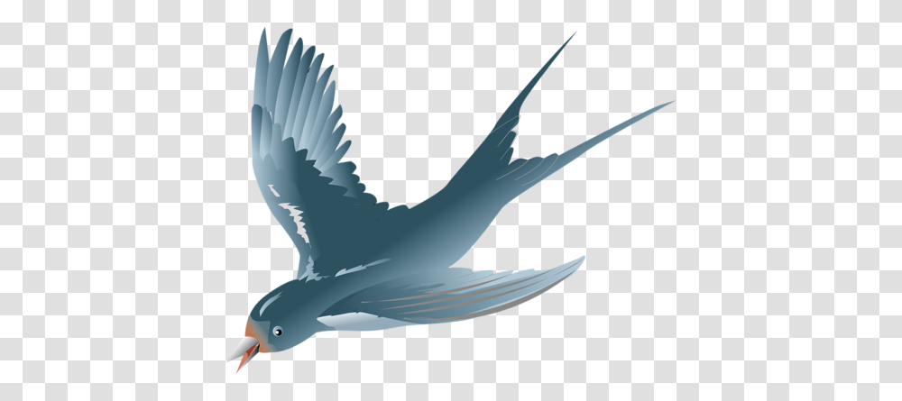 Swallow, Animals, Flying, Bird, Seagull Transparent Png