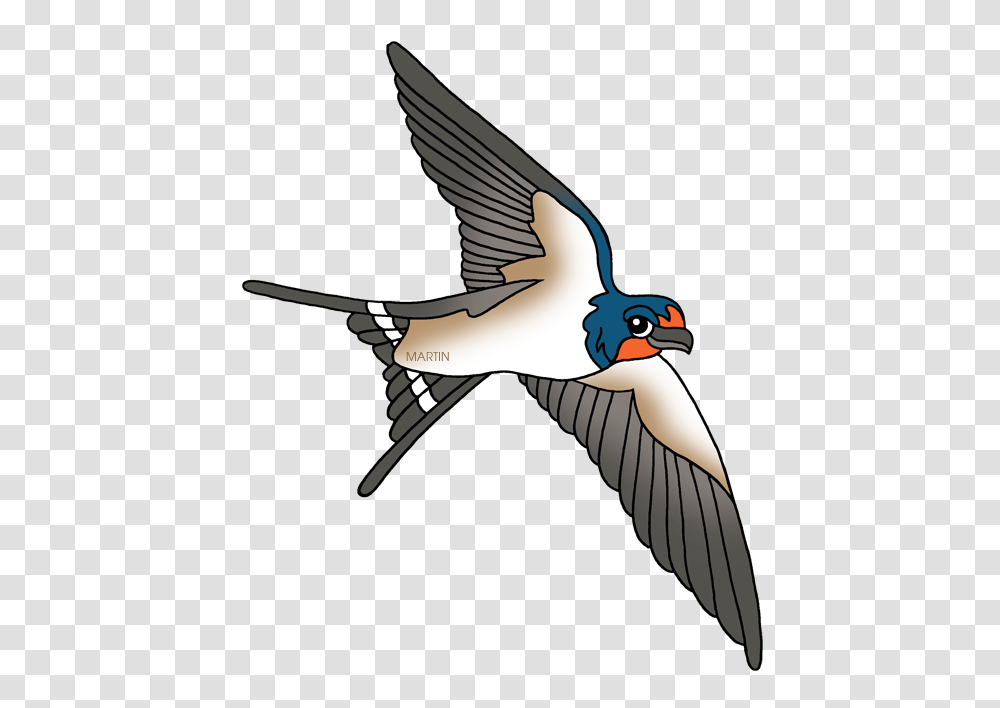Swallow, Animals, Flying, Bird, Vulture Transparent Png