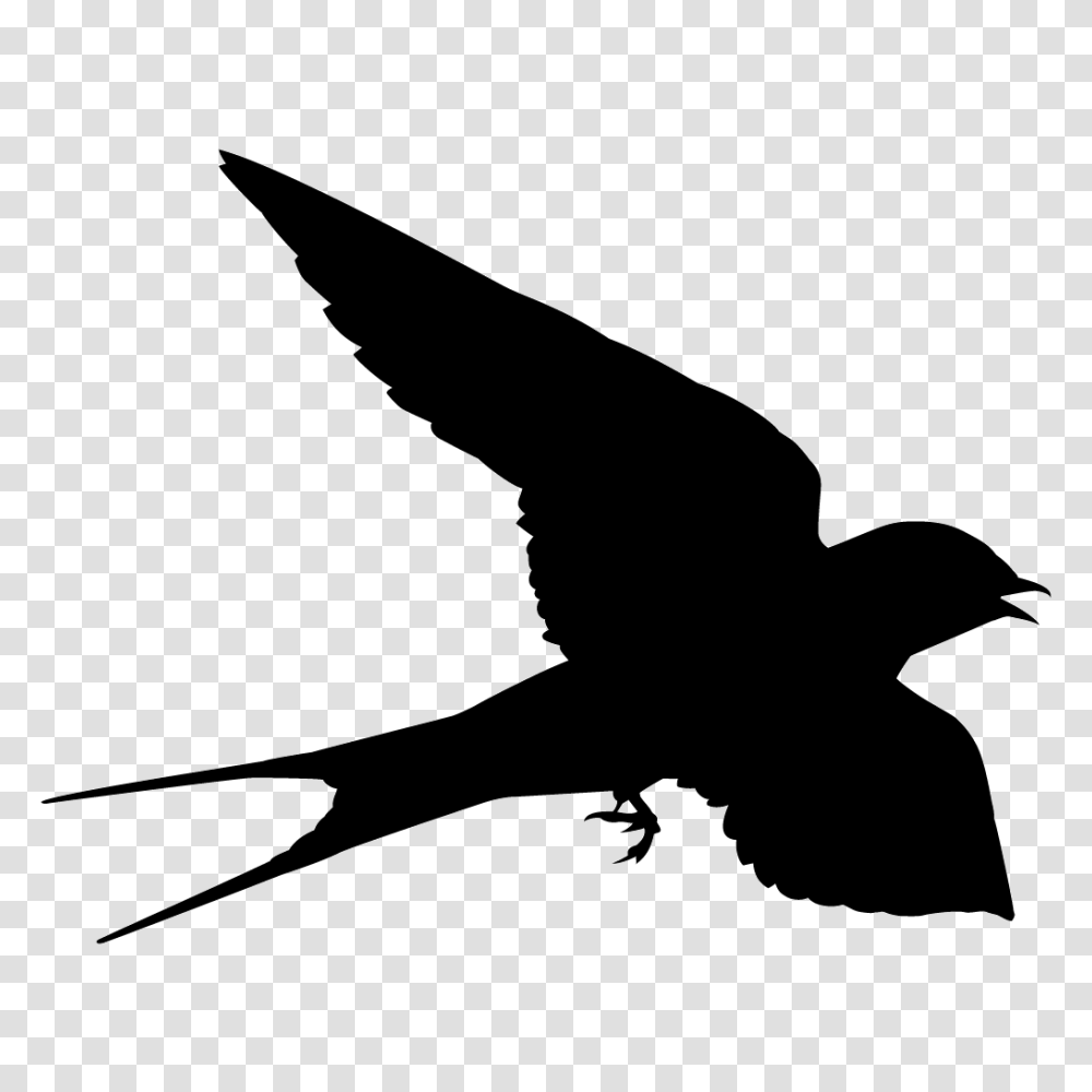 Swallow, Animals, Silhouette, Flying, Bird Transparent Png