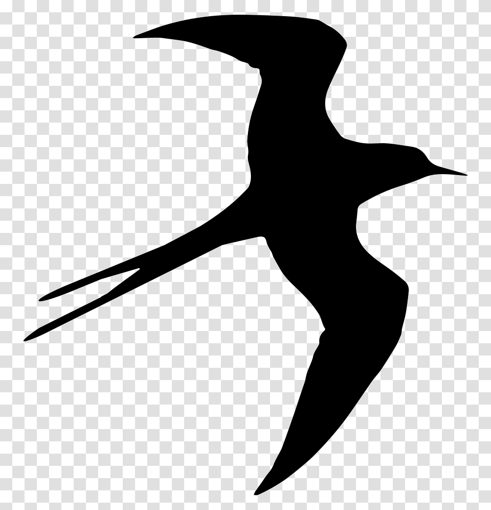 Swallow Bird Flying Silhouette Bird Fly Psd File, Hammer, Tool, Stencil, Animal Transparent Png