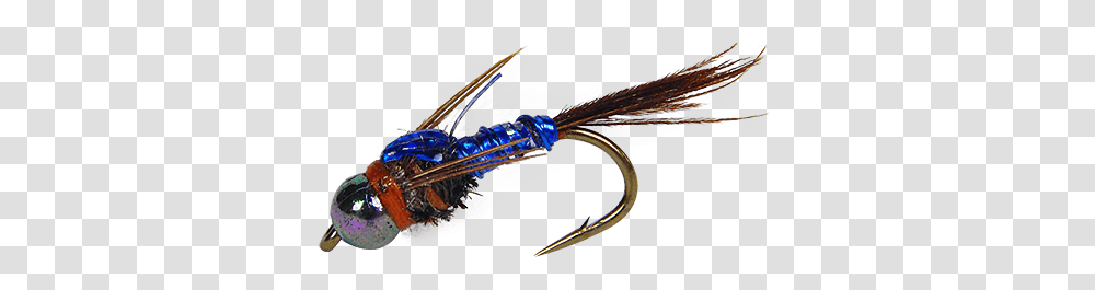 Swallow, Hair Slide, Fishing Lure, Bait, Claw Transparent Png