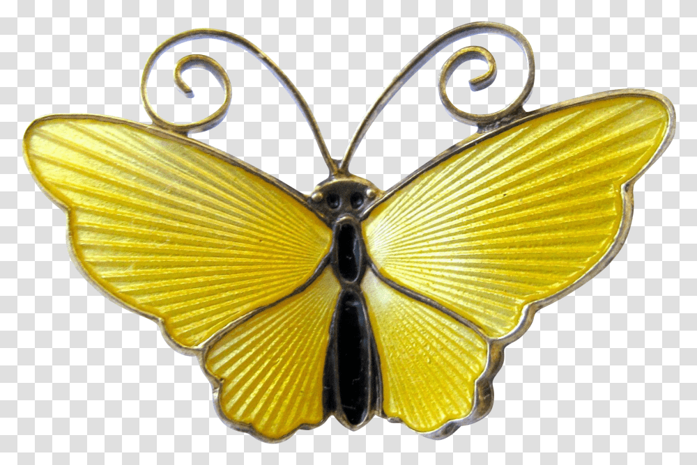 Swallowtail Butterfly, Animal, Invertebrate, Insect, Fish Transparent Png