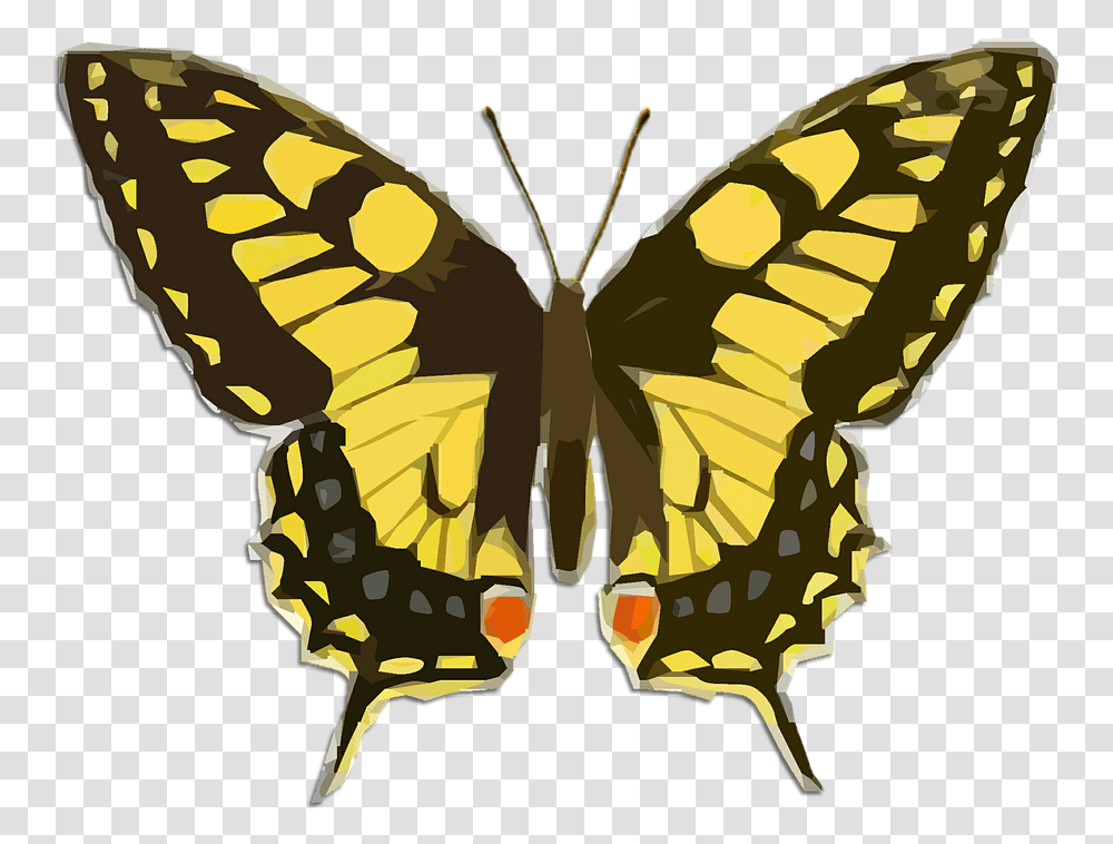 Swallowtail Butterfly Background, Insect, Invertebrate, Animal, Pattern Transparent Png