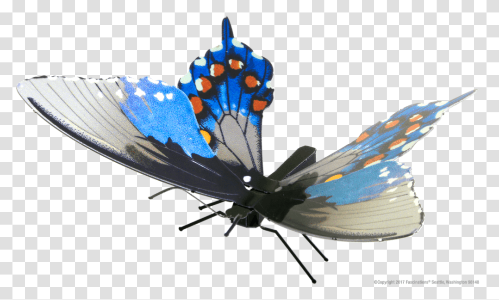 Swallowtail Butterfly, Insect, Invertebrate, Animal, Bird Transparent Png