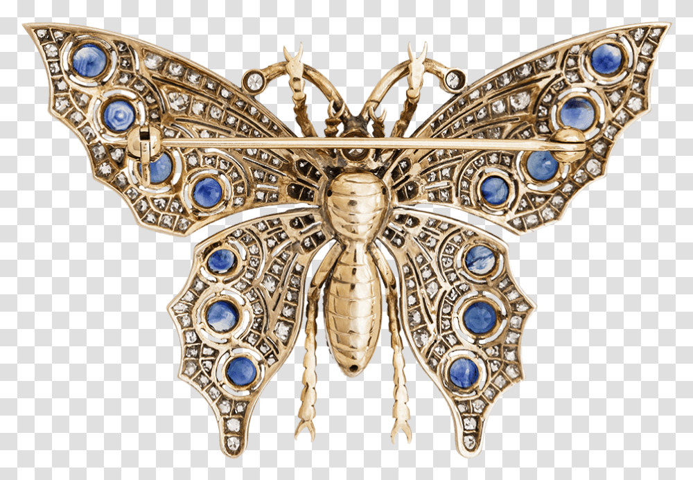 Swallowtail Butterfly, Jewelry, Accessories, Accessory, Brooch Transparent Png